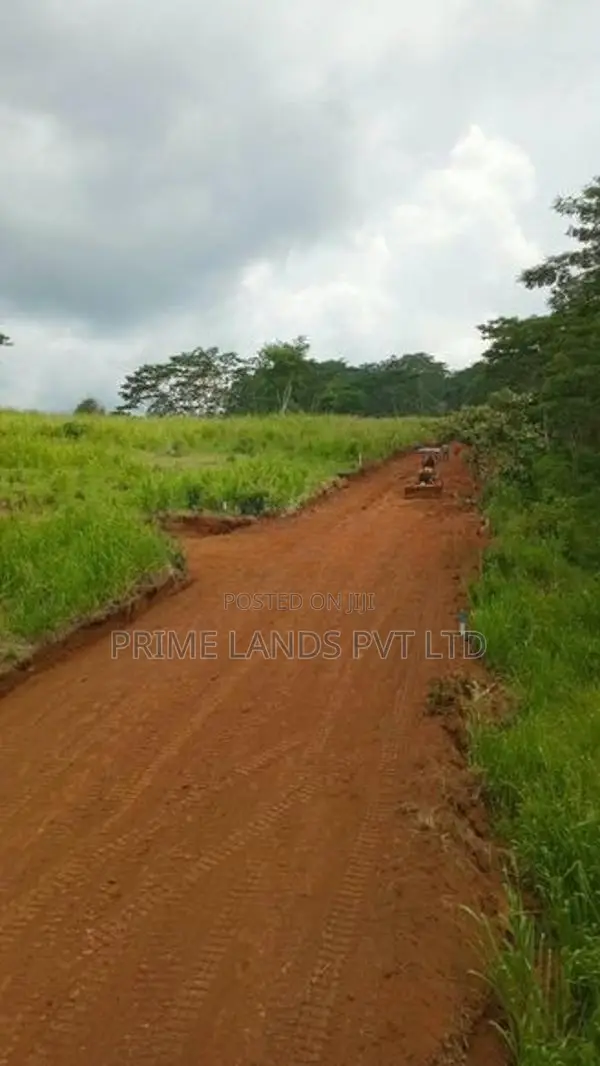 Beautiful Land Sale in Pussalawa