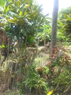 Land For Sale In Malabe