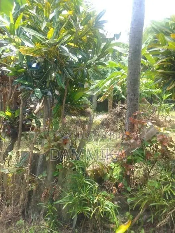 Land For Sale In Malabe