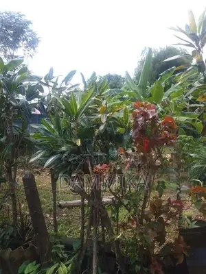 Land For Sale In Malabe