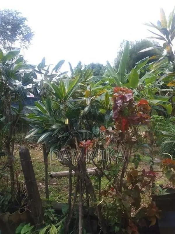 Land For Sale In Malabe