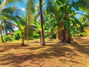 Land for sale in Batepola, Wathuragama (SSPL-528)