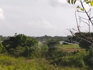 පුත්තලම් පාරෙන් බිම් කොටස් , මහ බුලන්කුලම
