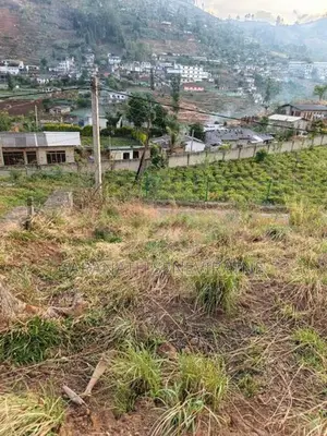 PRIME LANDS Auctioned Land Nuwaraeliya Haggala