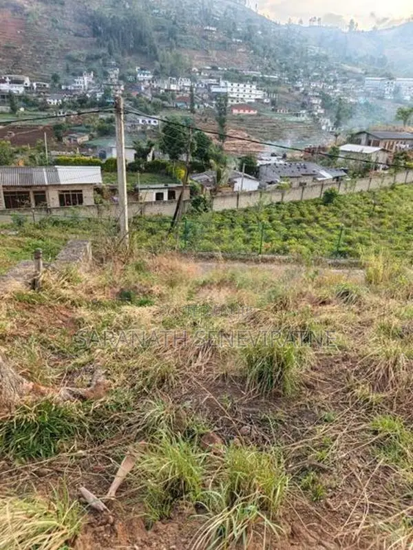 PRIME LANDS Auctioned Land Nuwaraeliya Haggala
