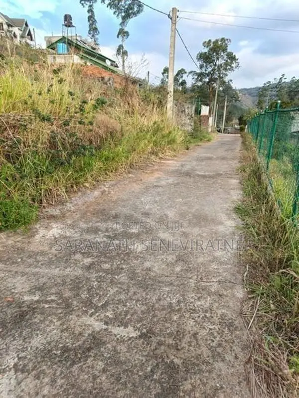 PRIME LANDS Auctioned Land Nuwaraeliya Haggala