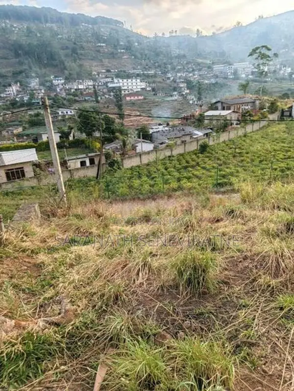 PRIME LANDS Auctioned Land Nuwaraeliya Haggala