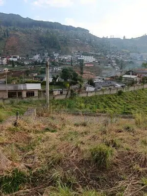 PRIME LANDS Auctioned Land Nuwaraeliya Haggala