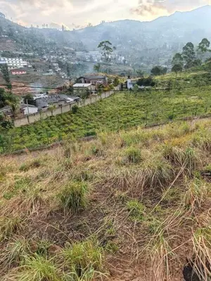 PRIME LANDS Auctioned Land Nuwaraeliya Haggala