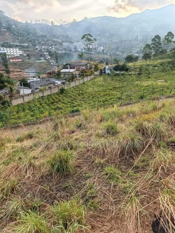 PRIME LANDS Auctioned Land Nuwaraeliya Haggala