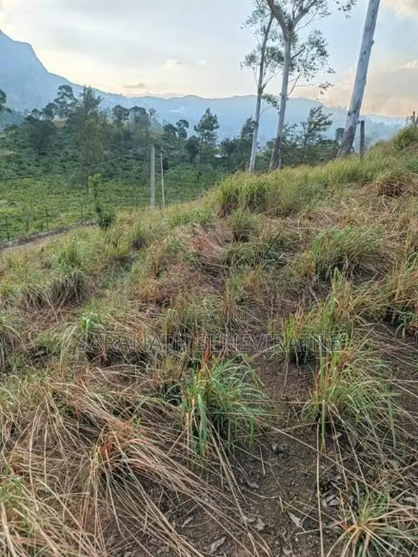 PRIME LANDS Auctioned Land Nuwaraeliya Haggala