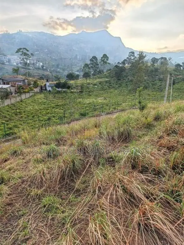PRIME LANDS Auctioned Land Nuwaraeliya Haggala