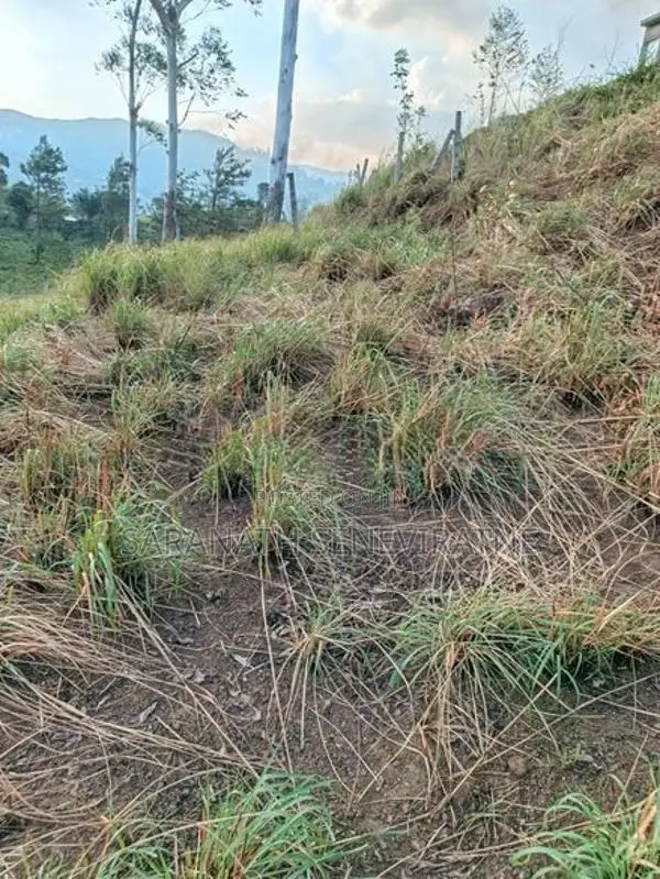 PRIME LANDS Auctioned Land Nuwaraeliya Haggala