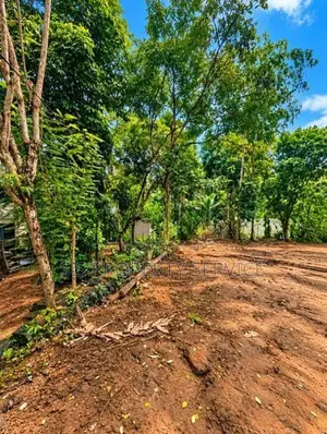 49-Perch Land For Sale In Kosgama (Sspl-529) Hanwella