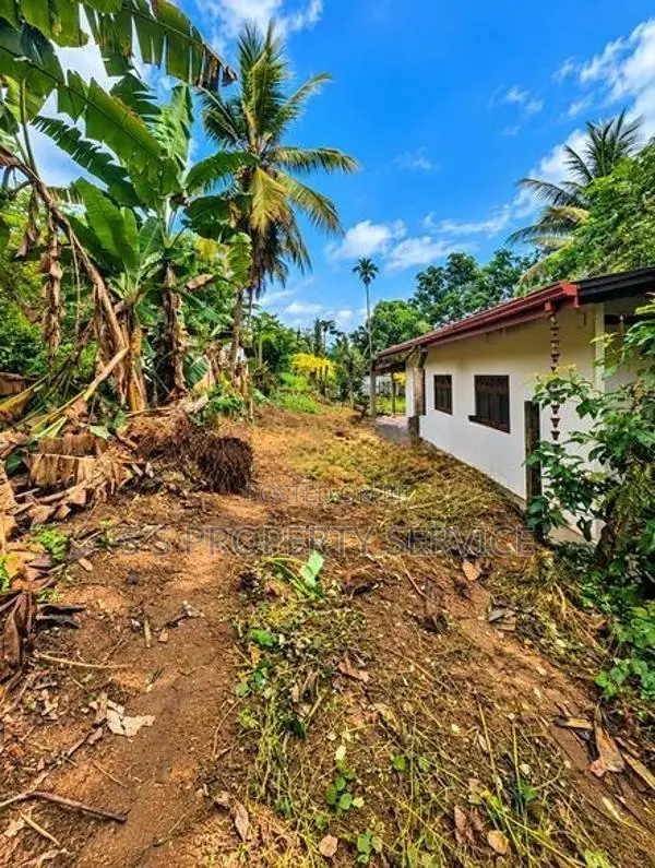 49-Perch Land For Sale In Kosgama (Sspl-529) Hanwella