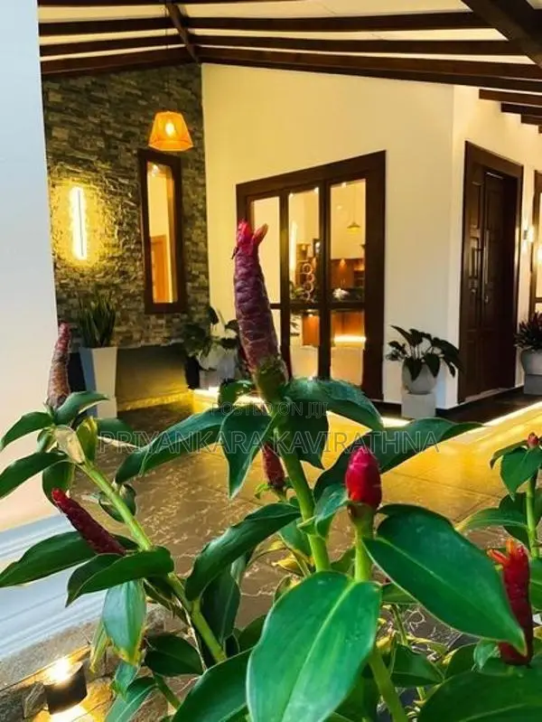 Beautiful Super Quality Mordern House in Kumbuka