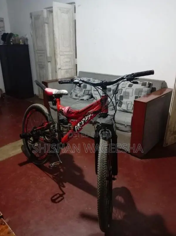 Bicycle