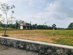 තලගල ඉඩමක්
