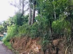 Land For Sale In Pilimatalawa