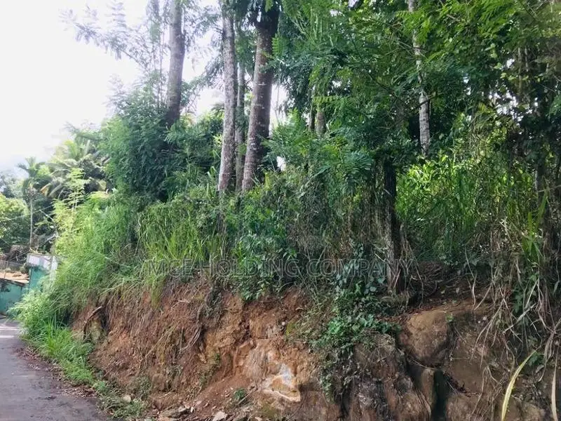 Land For Sale In Pilimatalawa