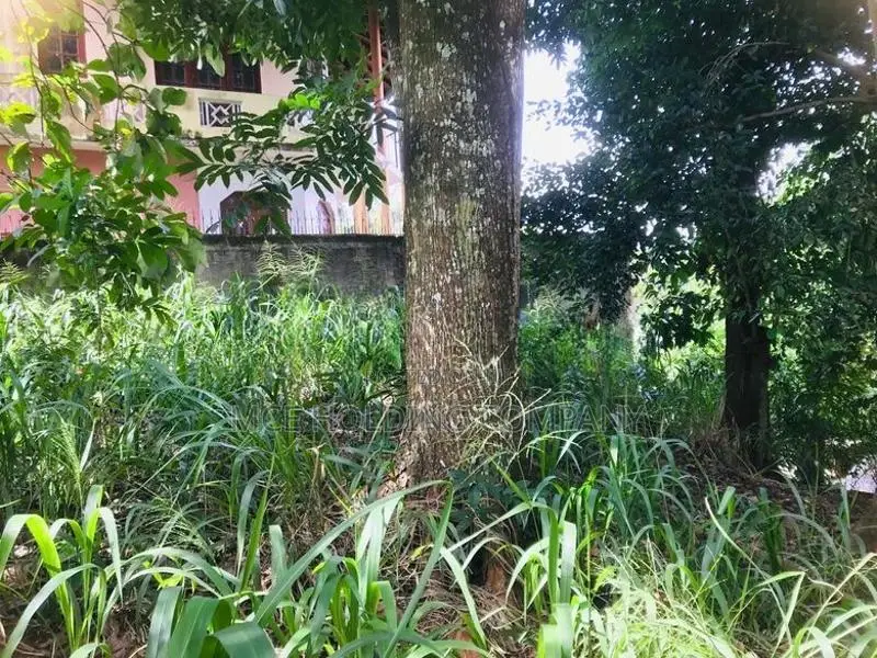 Land For Sale In Pilimatalawa