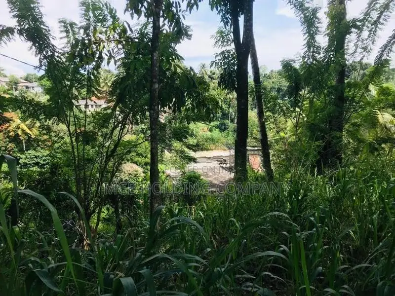 Land For Sale In Pilimatalawa