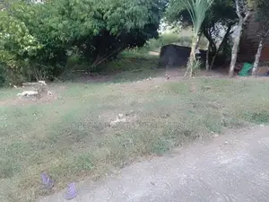 8 Perch Land for Sale – Rajagiriya
