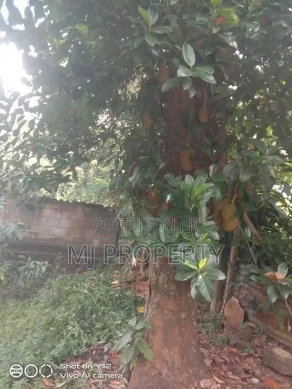 ( GS-1288) Valuable Single Storey House Sale In Homagama Godagama