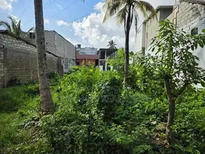 (NL872) 8 Perche Land for Sale in Wellampitiya