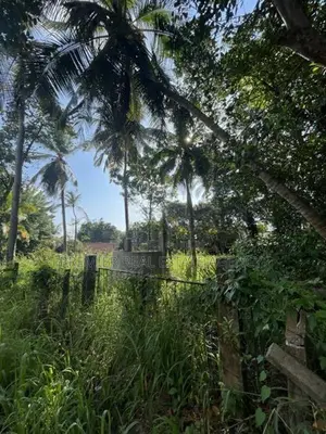 Land For Sale In Ja-Ela - 1km From The Town