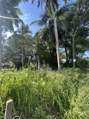 Land For Sale In Ja-Ela - 1km From The Town