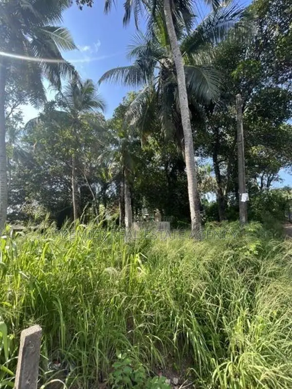 Land For Sale In Ja-Ela - 1km From The Town