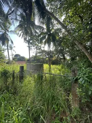 Land For Sale In Ja-Ela - 1km From The Town