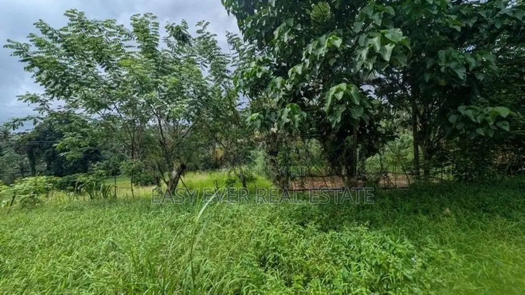 හංවැල්ල පල්ලේගම ප්‍රදේශයෙන් ඉඩමක්