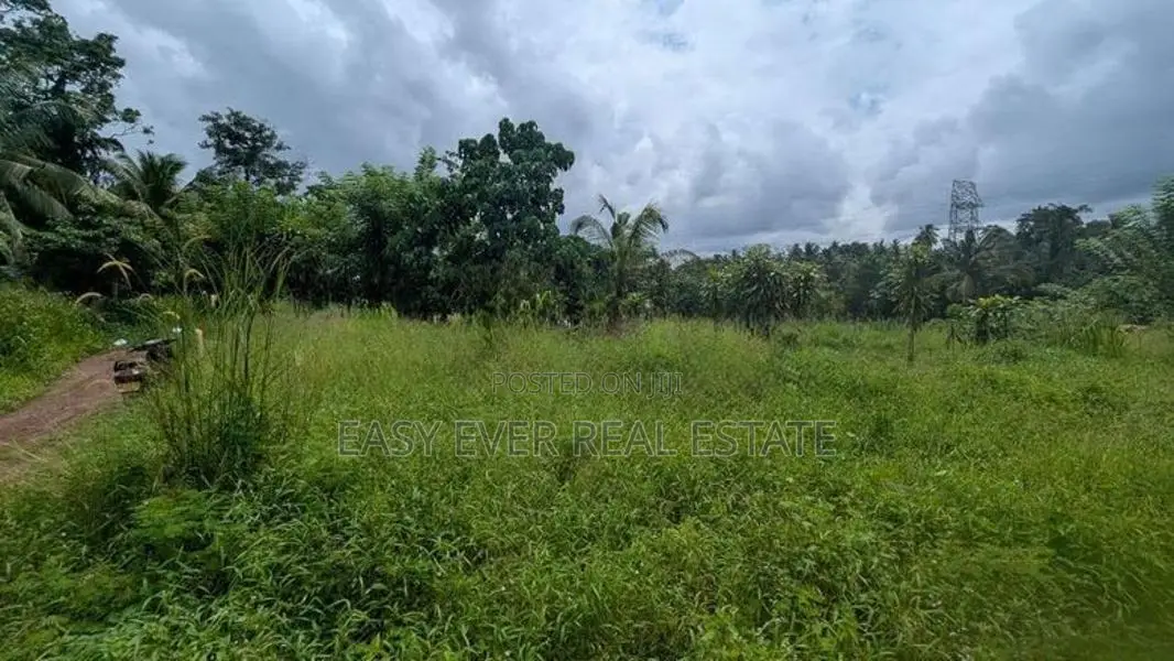 හංවැල්ල පල්ලේගම ප්‍රදේශයෙන් ඉඩමක්