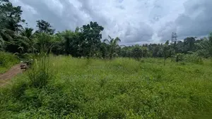 හංවැල්ල පල්ලේගම ප්‍රදේශයෙන් ඉඩමක්