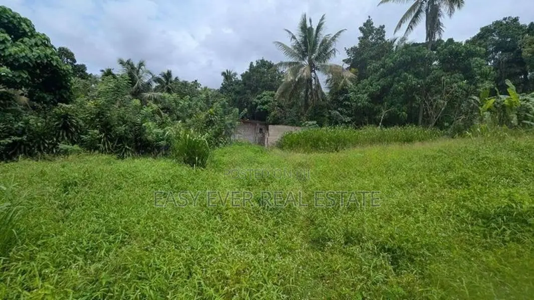 හංවැල්ල පල්ලේගම ප්‍රදේශයෙන් ඉඩමක්