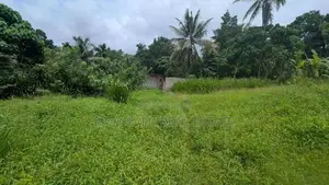 හංවැල්ල පල්ලේගම ප්‍රදේශයෙන් ඉඩමක්