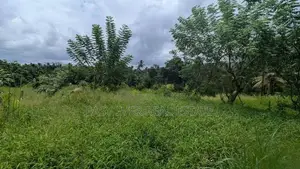 හංවැල්ල පල්ලේගම ප්‍රදේශයෙන් ඉඩමක්
