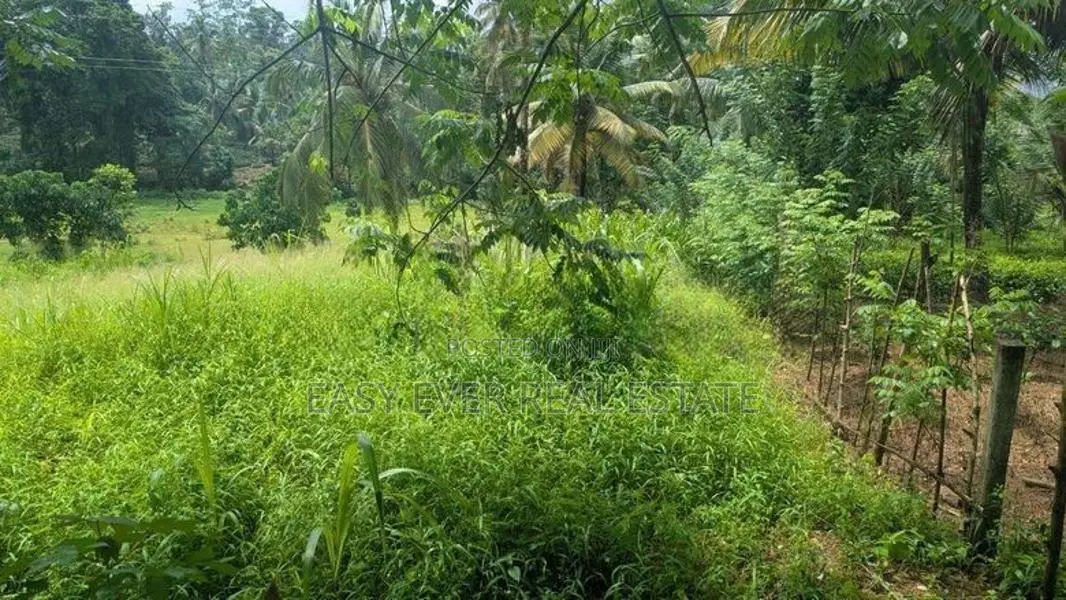 හංවැල්ල පල්ලේගම ප්‍රදේශයෙන් ඉඩමක්