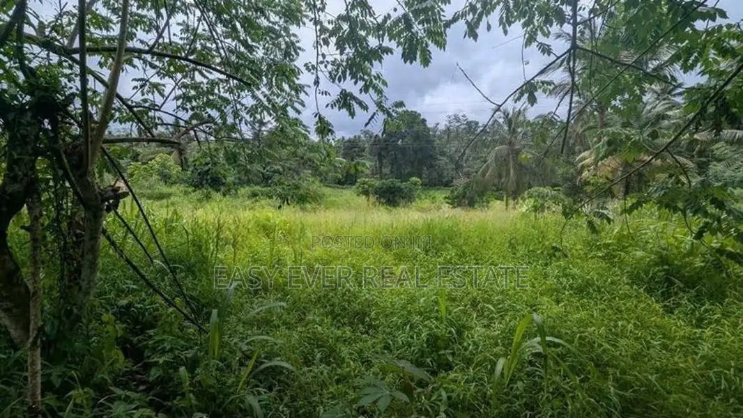 හංවැල්ල පල්ලේගම ප්‍රදේශයෙන් ඉඩමක්