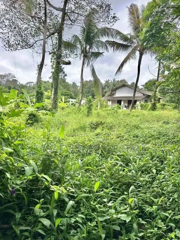 කඩවත | ගනේමුල්ල ව්‍යාපාරික ඉඩම