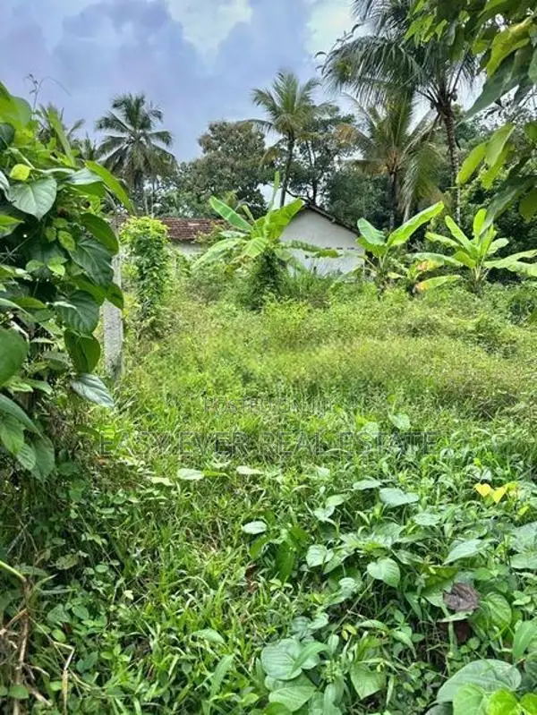 කඩවත | ගනේමුල්ල ව්‍යාපාරික ඉඩම