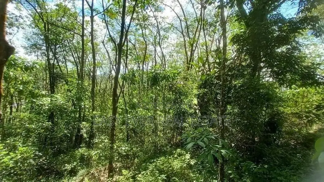 Land for Sale Avissawella Puwakpitiya