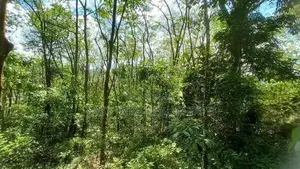Land for Sale Avissawella Puwakpitiya
