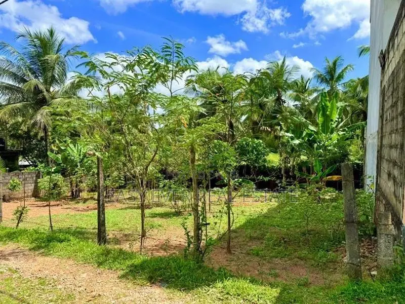 නිට්ටඹුව නගර මධ්‍යයෙන් වටිනා නේවාසික බිම්කොටස විකිණීමට.