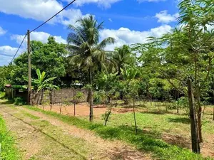නිට්ටඹුව නගර මධ්‍යයෙන් වටිනා නේවාසික බිම්කොටස විකිණීමට.