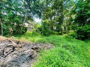 Land for Sale – Field View Avenue, Hokandara
