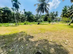15 Perch Land for Sale in Thalawathugoda – Wali Para