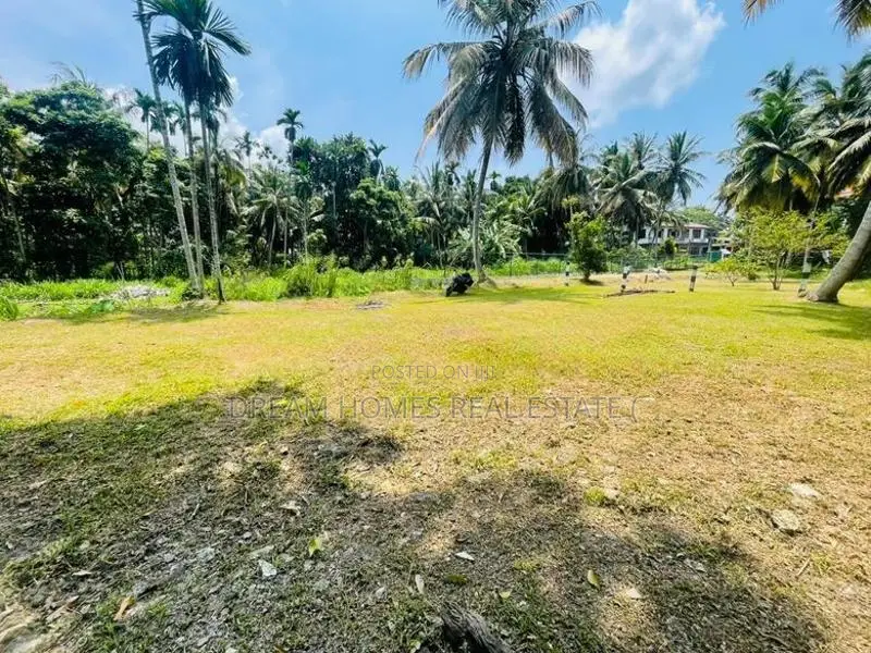15 Perch Land for Sale in Thalawathugoda – Wali Para